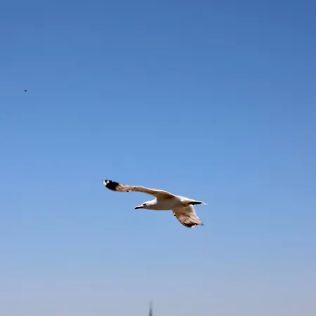 호텔 스펜돈스위트